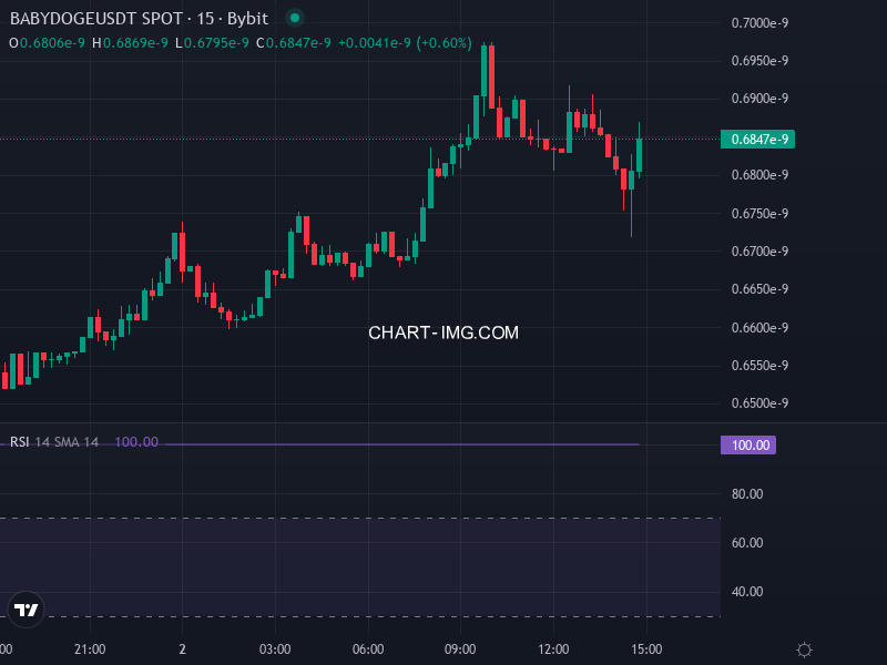 BabyDoge/USDT Price Chart with Key Levels